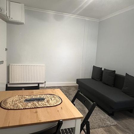 Complete One Bedroom Flat In Chiswick London, Fully Furnished エクステリア 写真